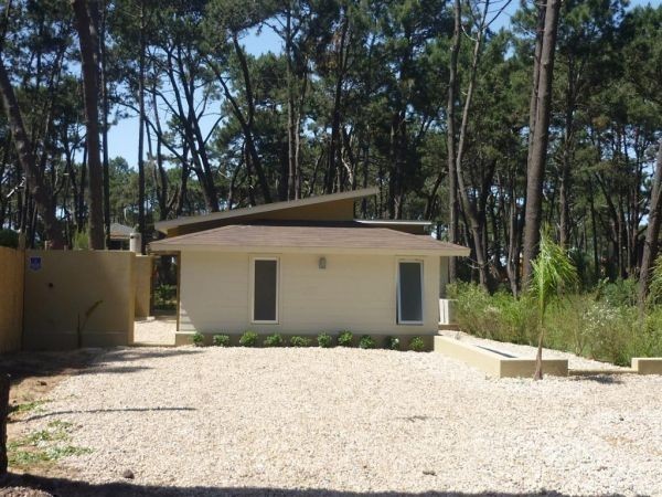 GUAPPA DEL BOSQUE - foto 14