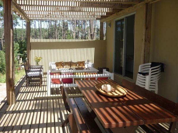 GUAPPA DEL BOSQUE - foto 15