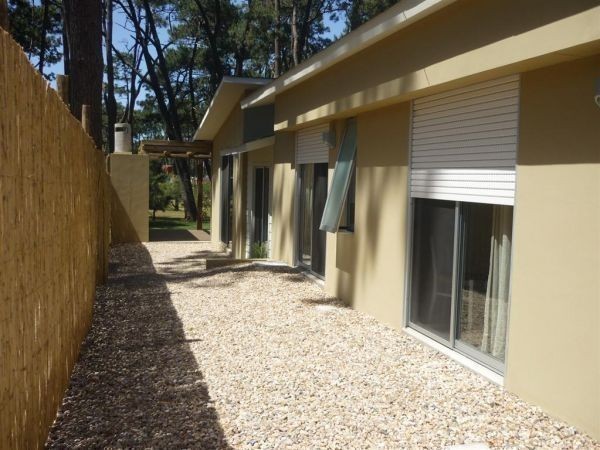 GUAPPA DEL BOSQUE - foto 19