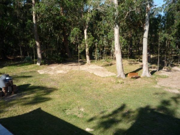 Los Delfines - foto 20