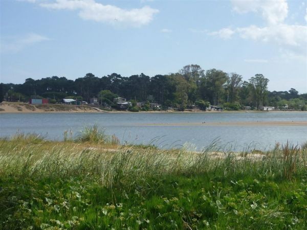 AGUA CLARA - foto 2