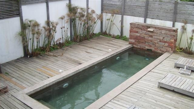 Maimara - foto 16