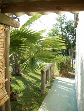 Jorge Alvarez - foto 6