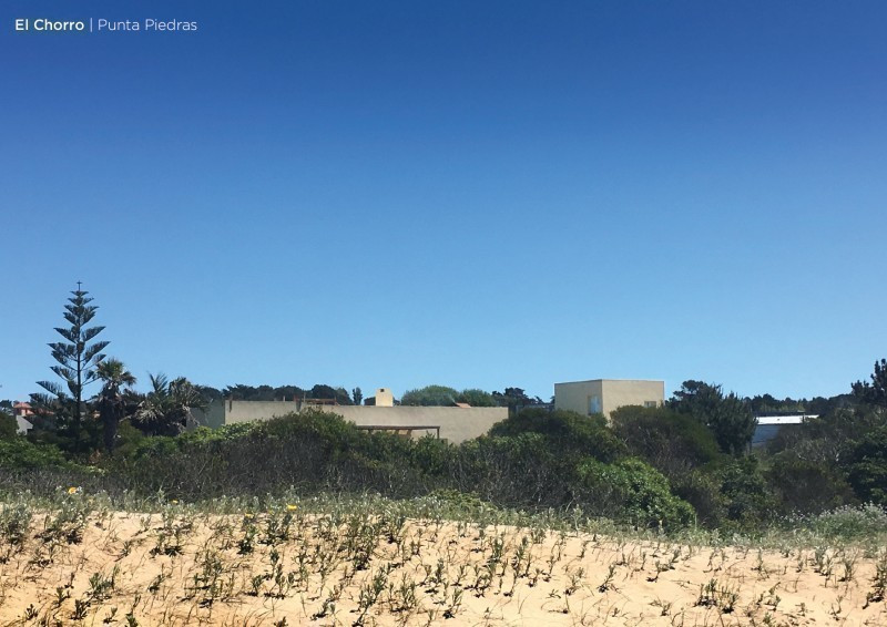 La Sarracena - Punta de Piedra - foto 2