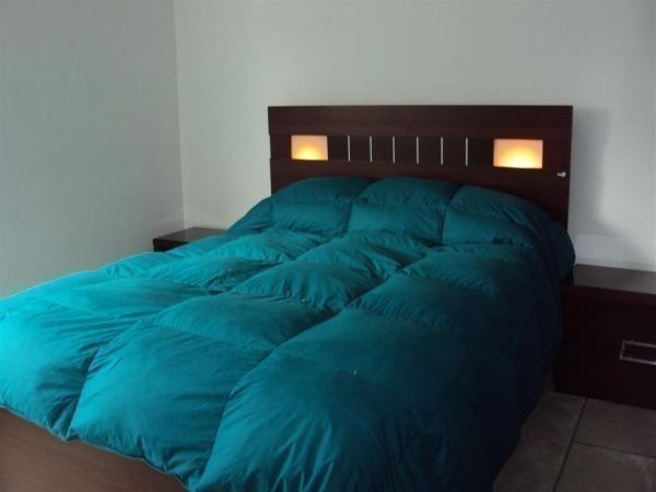 Bilu - foto 12