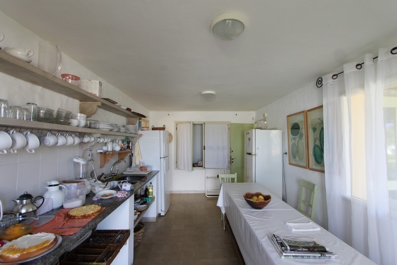 El Jardin de Kontiki - foto 12