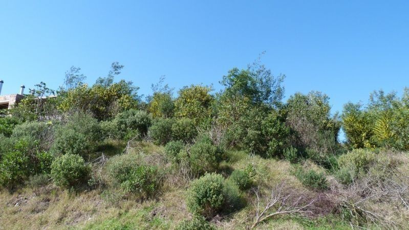 Terreno pegado a Le Quartier - foto 6