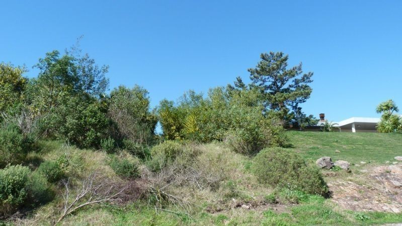 Terreno pegado a Le Quartier - foto 5
