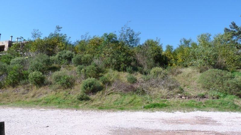 Terreno pegado a Le Quartier - foto 10