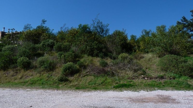 Terreno pegado a Le Quartier - foto 2