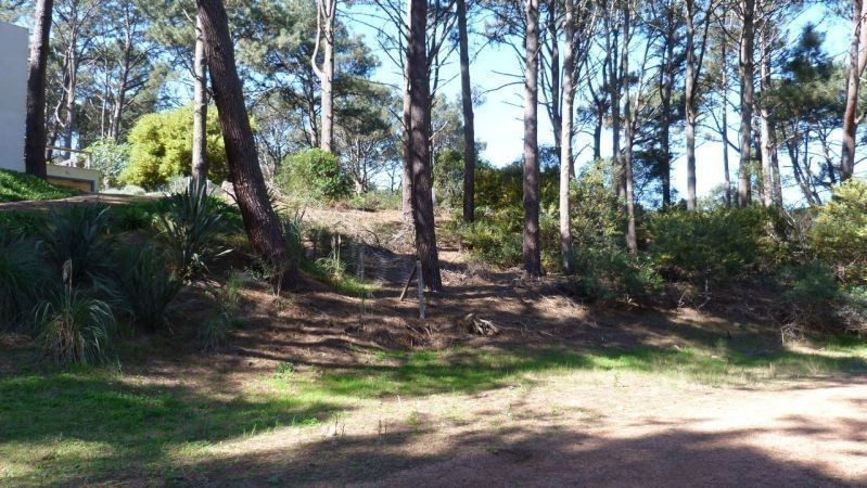 Terreno Club del Lago pad. 2836 - foto 3