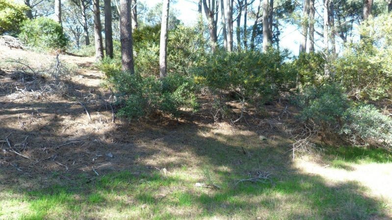 Terreno Club del Lago pad. 2836 - foto 2