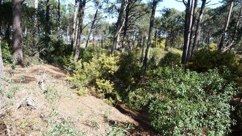 Terreno Club del Lago pad. 2836