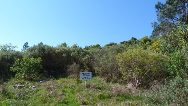 Terreno en Las Cumbres - foto 19