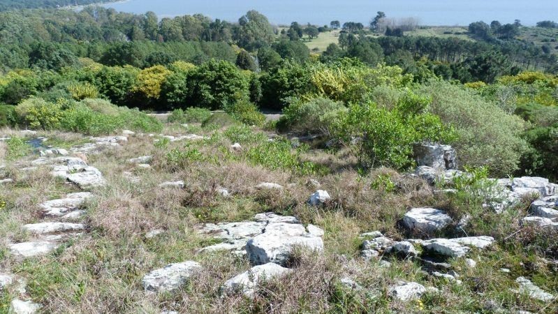 Terreno en Las Cumbres - foto 13