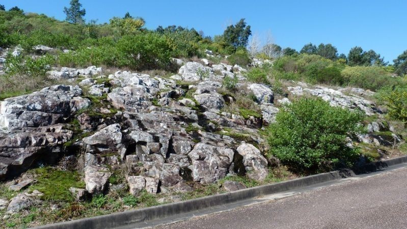Terreno en Las Cumbres - foto 8