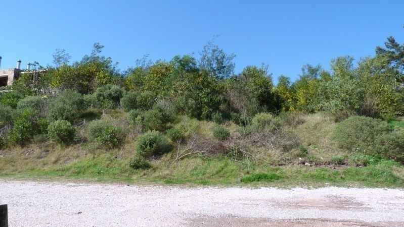 Terreno en Las Cumbres - foto 9