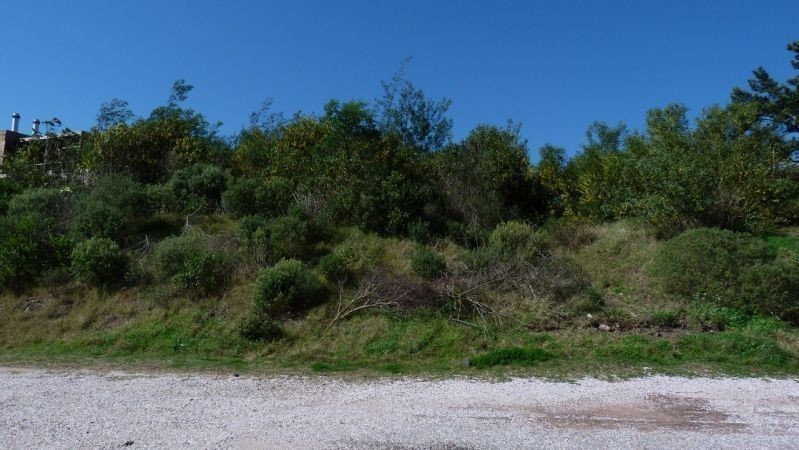 Terreno en Las Cumbres - foto 11