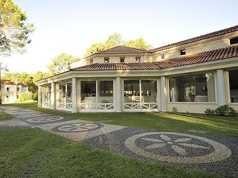 Canela - foto 28