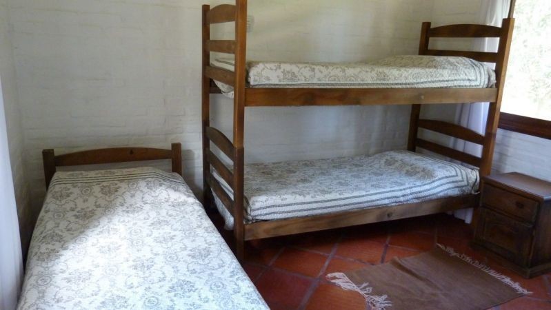 Canela - foto 15