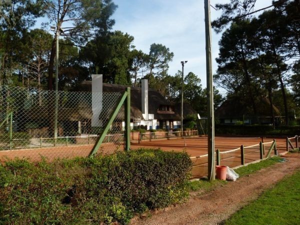 Canela - foto 22