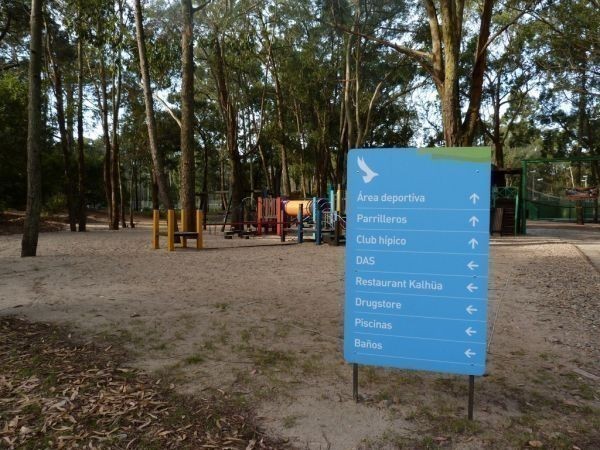 Canela - foto 25