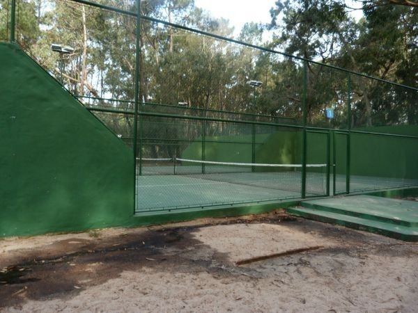 Canela - foto 26