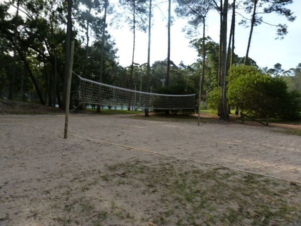 Canela - foto 21