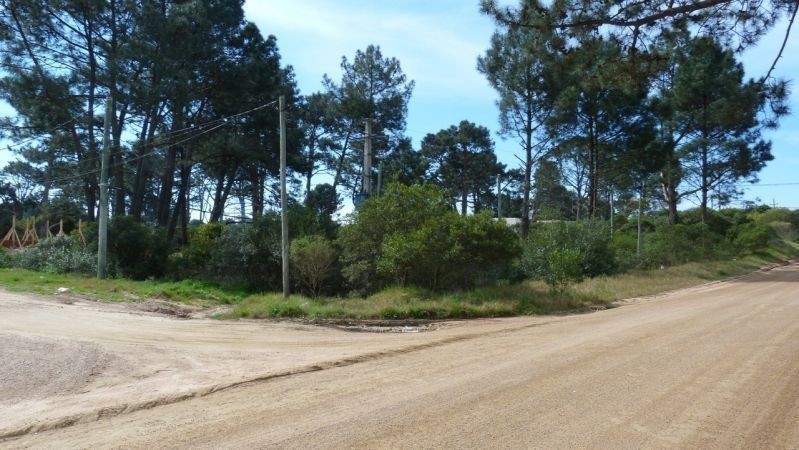Terreno Chihuahua padrón 473 - foto 3