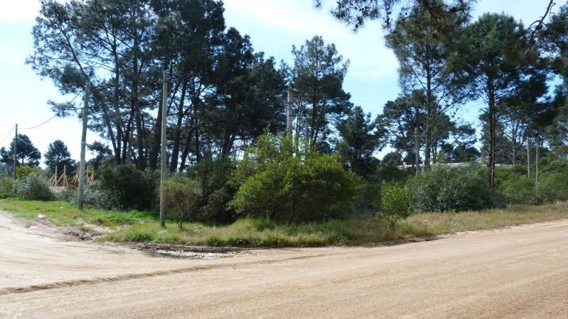 Terreno Chihuahua padrón 473 - foto 2