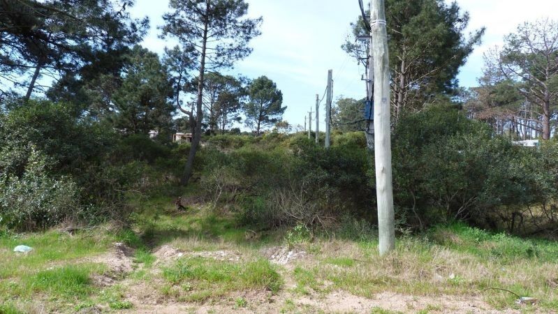 Terreno Chihuahua padrón 473
