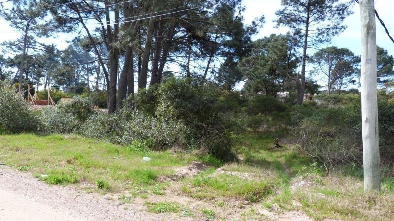 Terreno Chihuahua padrón 473 - foto 4