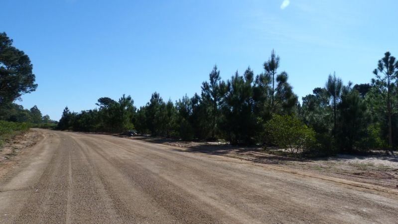 Terrenos en Chihuahua 949 - foto 6