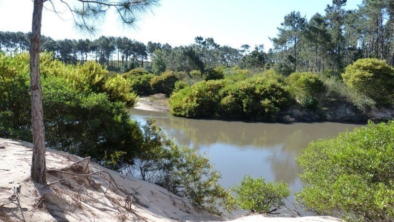 Terrenos en Chihuahua 949 - foto 4