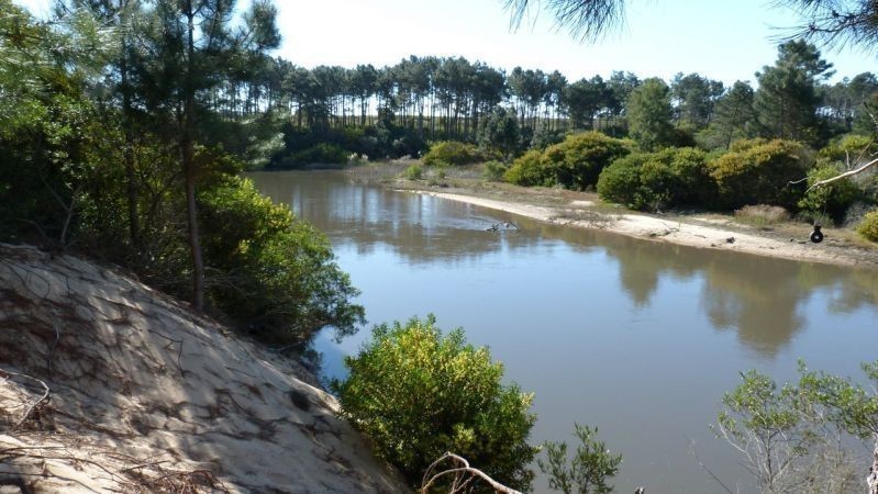 Terrenos en Chihuahua 949 - foto 2