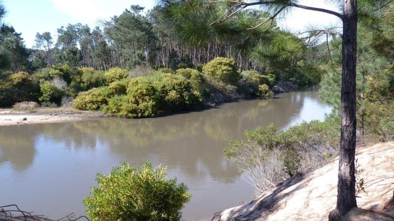 Terrenos en Chihuahua 949 - foto 3