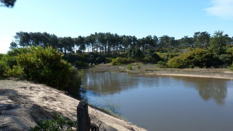 Terrenos en Chihuahua 949 - foto 5