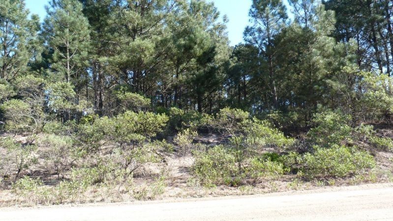 Terreno padrón 671 - foto 2