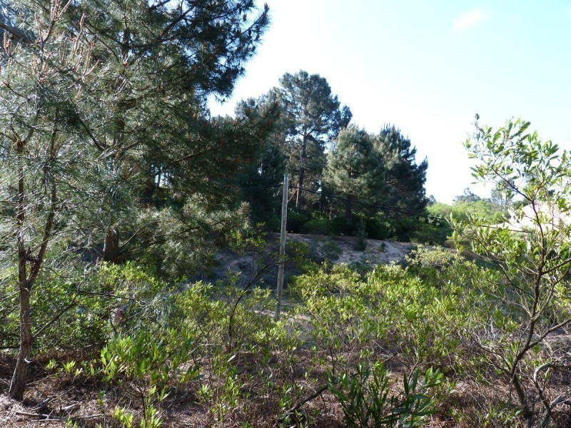 Terreno padrón 671 - foto 3