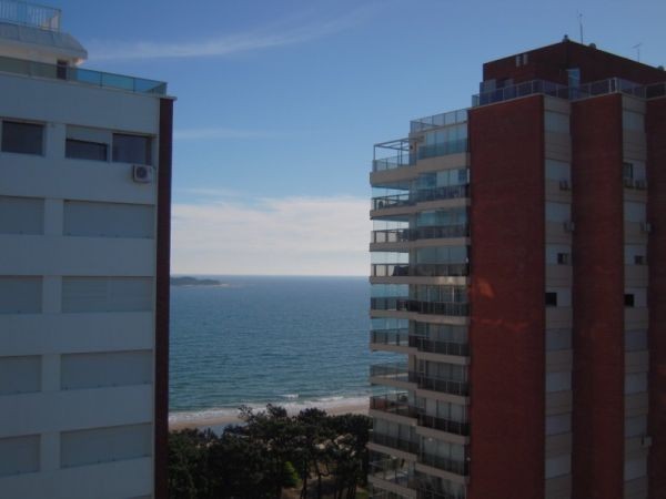 Palm Beach 1509 ** VENDIDO ** - foto 4
