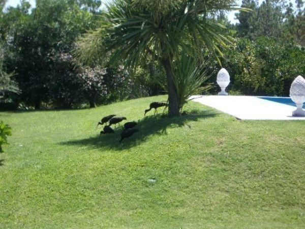 De Todo - foto 20