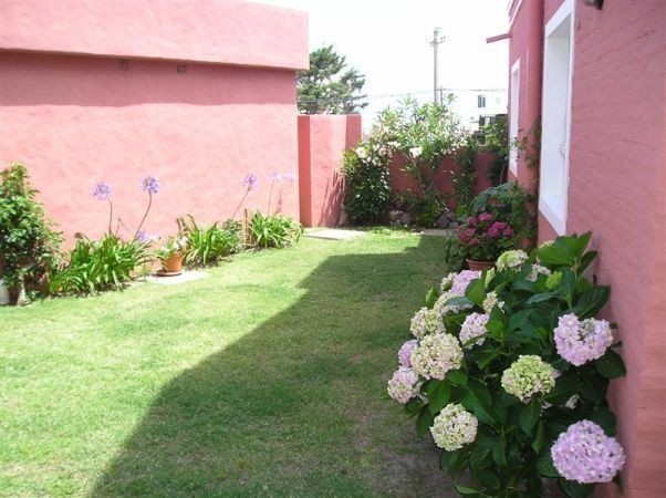 Altair - foto 9