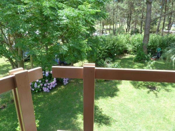 Ñapinda - foto 22