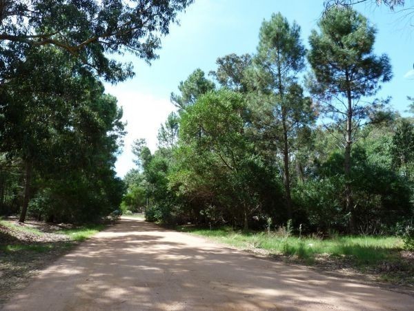 Terreno en Solanas Country Perrueta - foto 2
