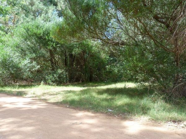 Terreno en Solanas Country Perrueta - foto 4