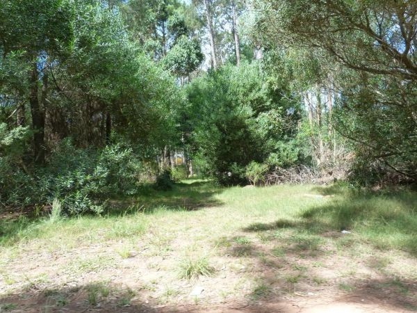 Terreno en Solanas Country Perrueta - foto 7