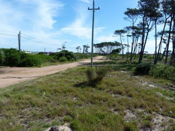 Terreno Chihuahua padrones 395/96/97 - foto 5
