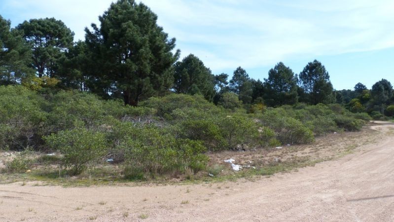 Terreno Chihuahua 550/551/552 - foto 4