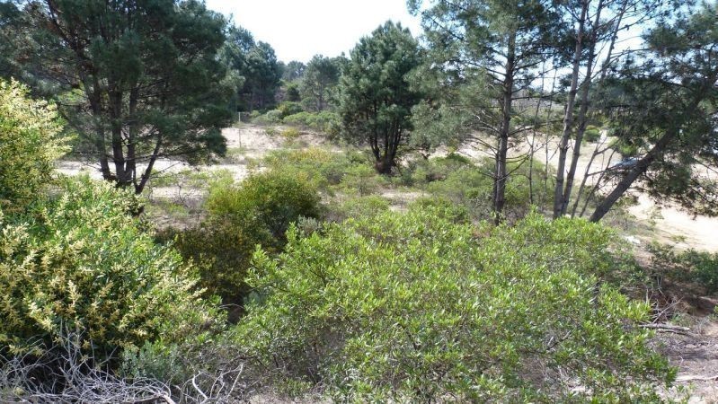 Terreno Chihuahua 550/551/552 - foto 5