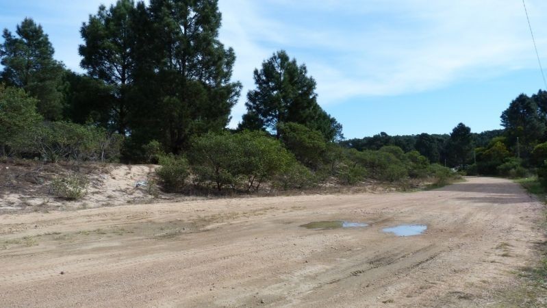 Terreno Chihuahua pad 565